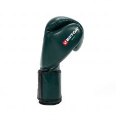 Универсальные тренировочные перчатки Vector Boxing Calypso 16 oz