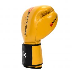 Универсальные тренировочные перчатки Vector Boxing Dakar 10 oz