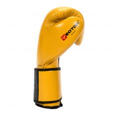 Универсальные тренировочные перчатки Vector Boxing Dakar 10 oz
