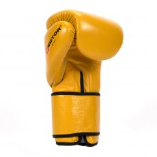Универсальные тренировочные перчатки Vector Boxing Dakar 10 oz