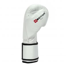 Универсальные тренировочные перчатки Vector Boxing Blades 10 oz