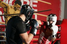 Универсальные тренировочные перчатки Vector Boxing Hammer 16 oz