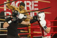 Универсальные тренировочные перчатки Vector Boxing Blades 10 oz