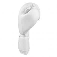 Универсальные тренировочные перчатки Vector Boxing 10 oz белые