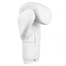 Универсальные тренировочные перчатки Vector Boxing 10 oz белые