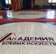Борцовский ковер 12х12, маты ППЭ 180кг/м3 (соревновательный), липучка